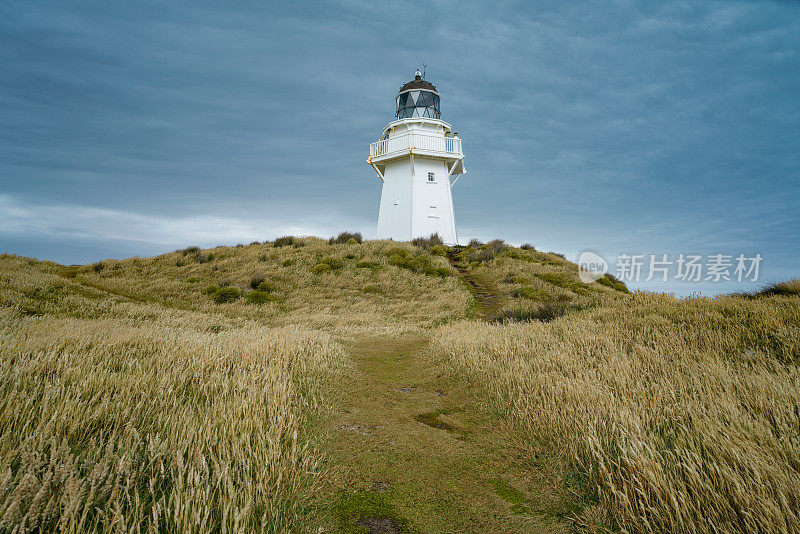 Waipapa Point灯塔，南岛，新西兰